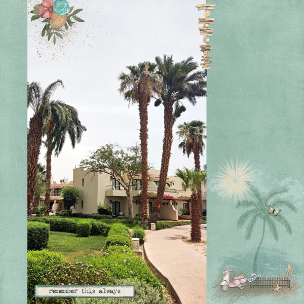 palm trees