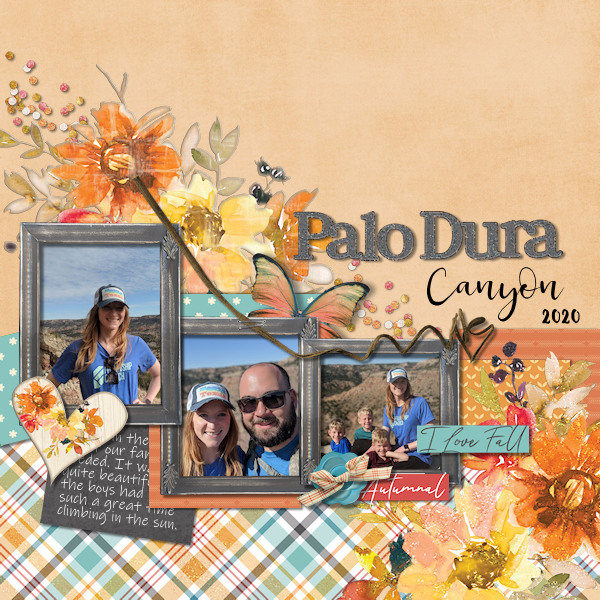 Palo Dura Canyon 2020