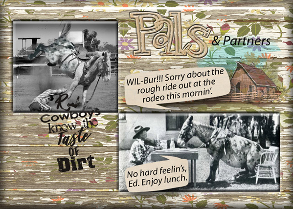 Pals + Partners