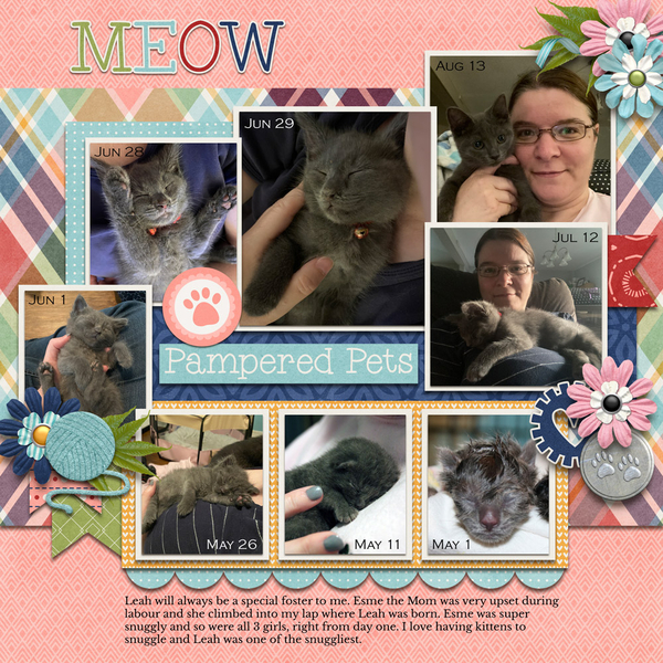 Pampered Pets