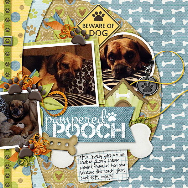 Pampered Pooch