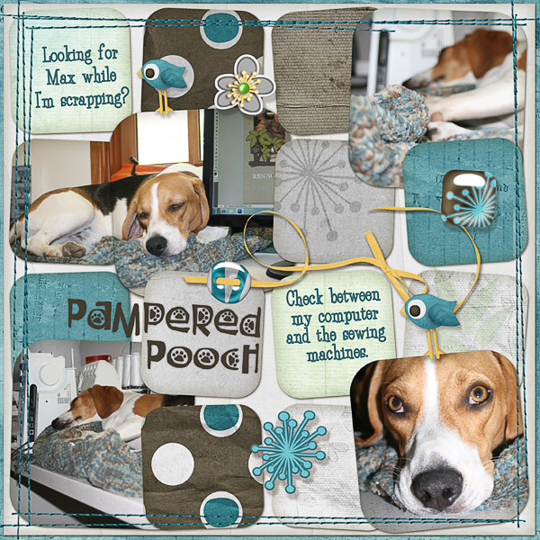 Pampered Pooch