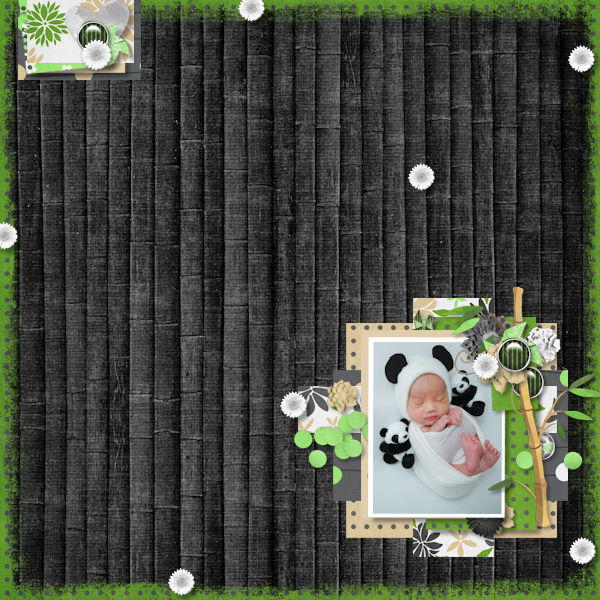 Panda Baby