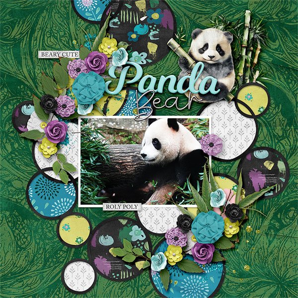 Panda Bear