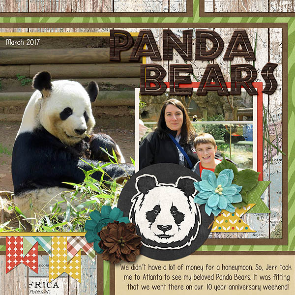 Panda Bears