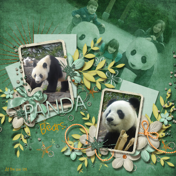 Panda Bears