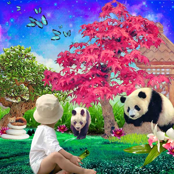 panda land