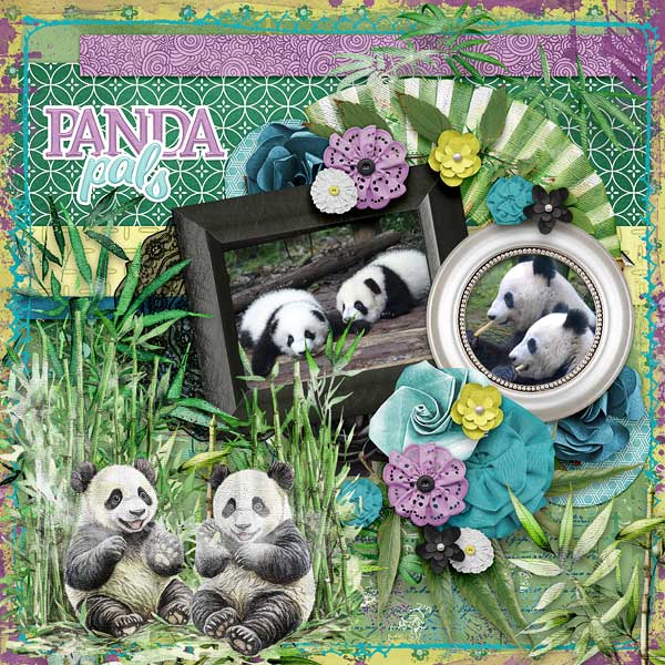Panda Pals