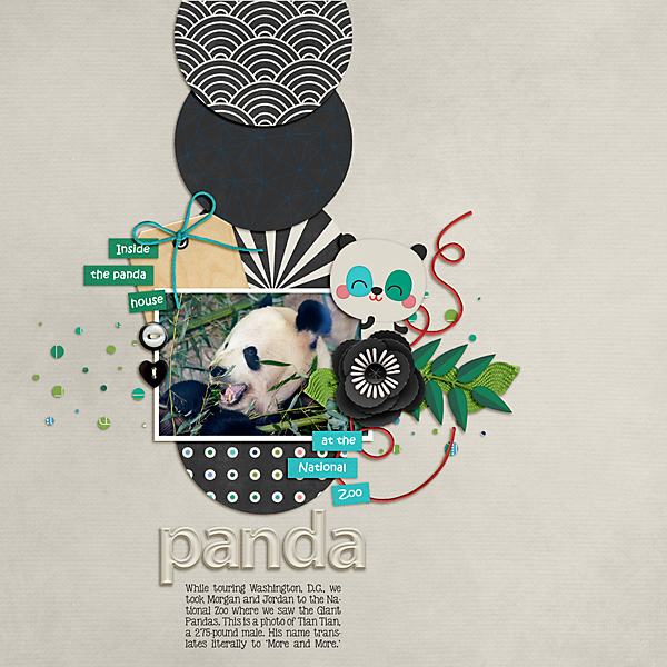 Panda