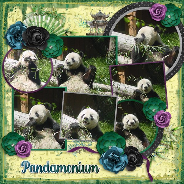 Pandamonium-Aimee Pics Galore Templates 20 #4-Connie Prince.jpg