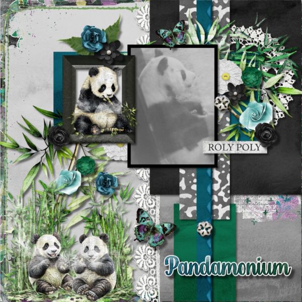 Pandas at London Zoo