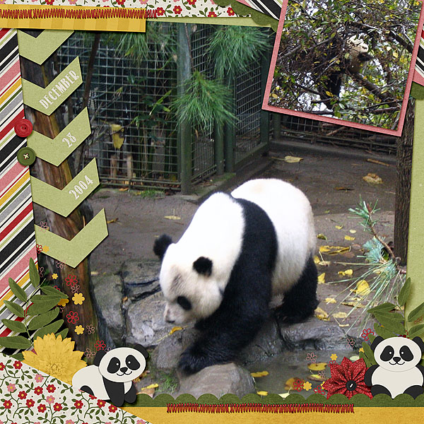 Pandas