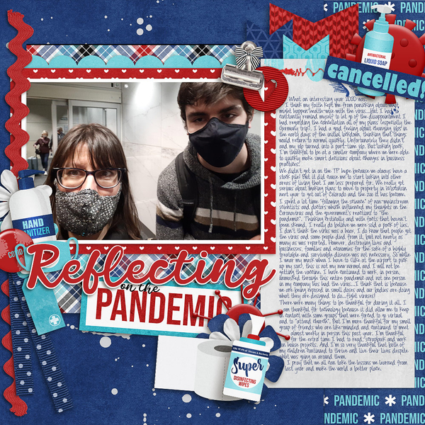Pandemic Reflections
