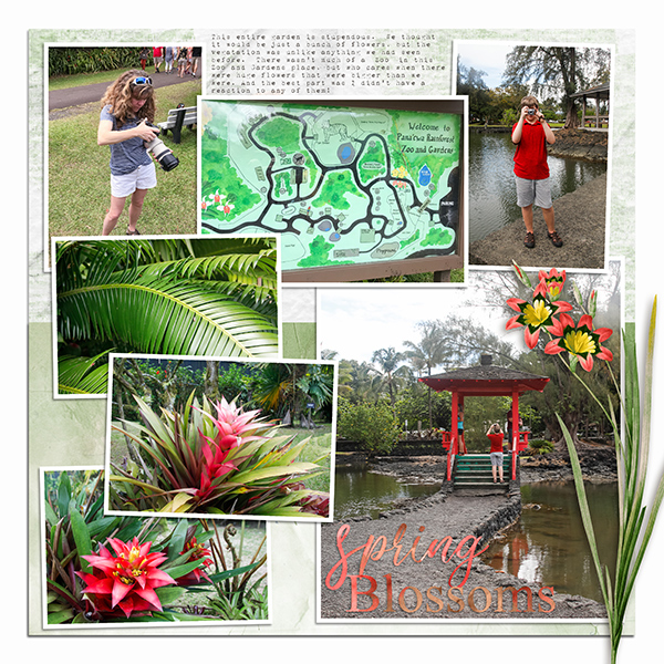 Pan'ewa Garden + Zoo Left