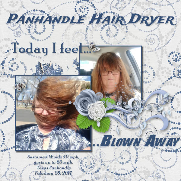 Panhandle Hair Dryer