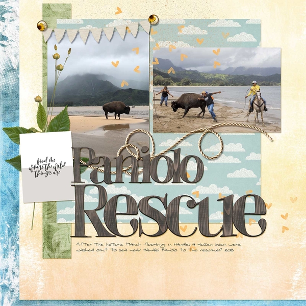Paniolo Rescue