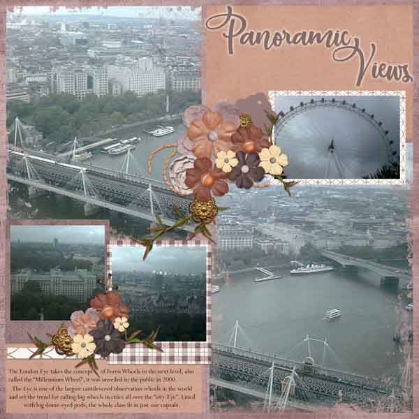 Panoramic Views