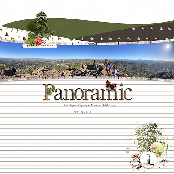 Panoramic