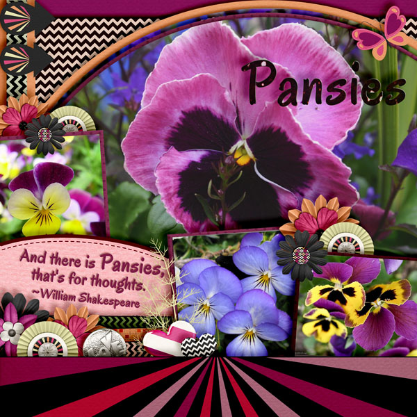 Pansies