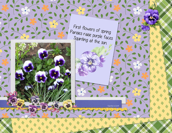 Pansies