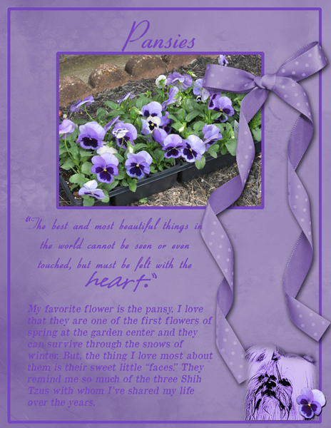 Pansies