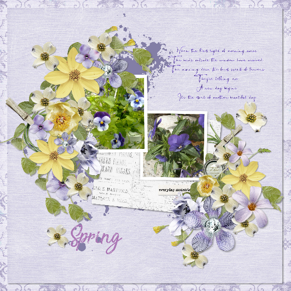 Pansies