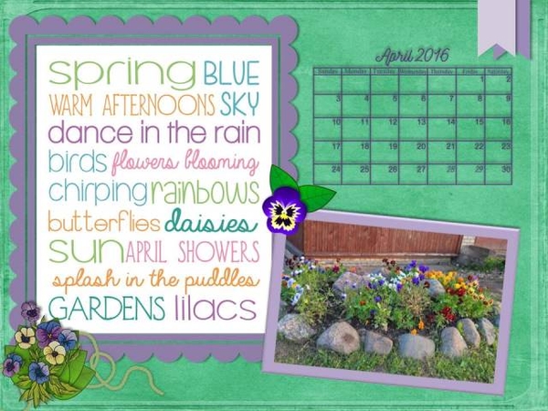 Pansy Garden - March 2016 Desktop Challenge