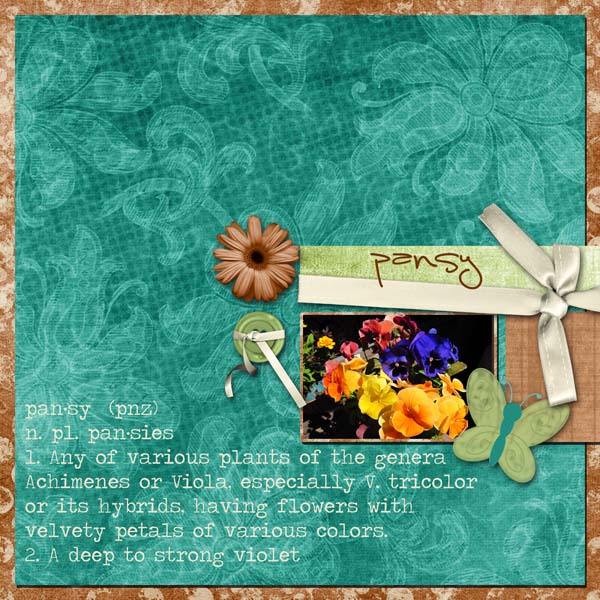 Pansy