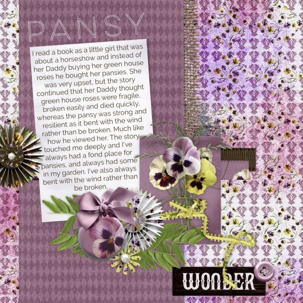 Pansy