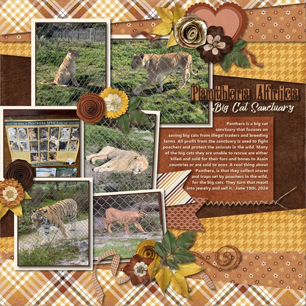 Panthera Africa Big Cat Sanctuary