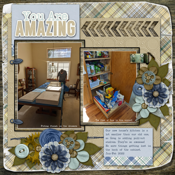 Pantry pull-out shelves
