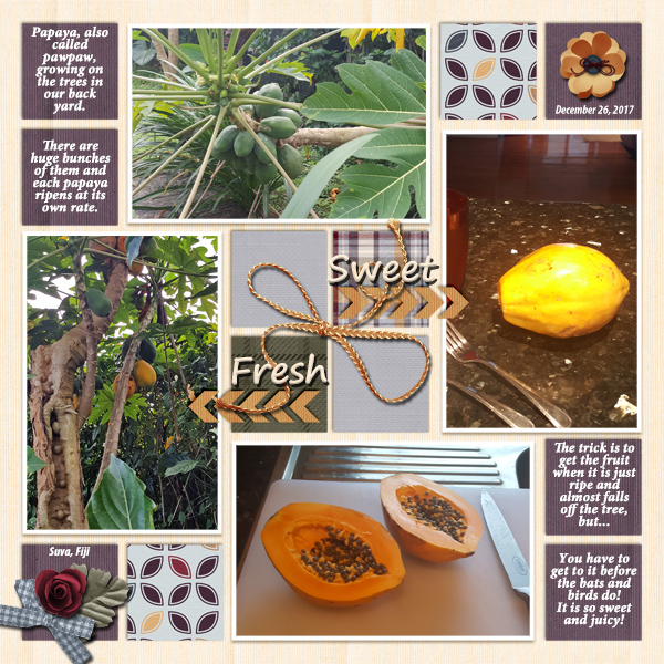 Papaya Progress