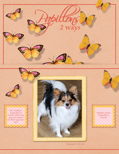 Papillons - 2 Ways