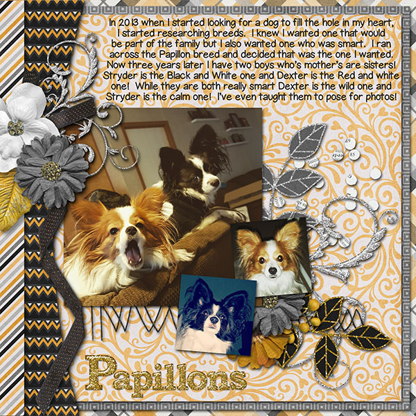 Papillons