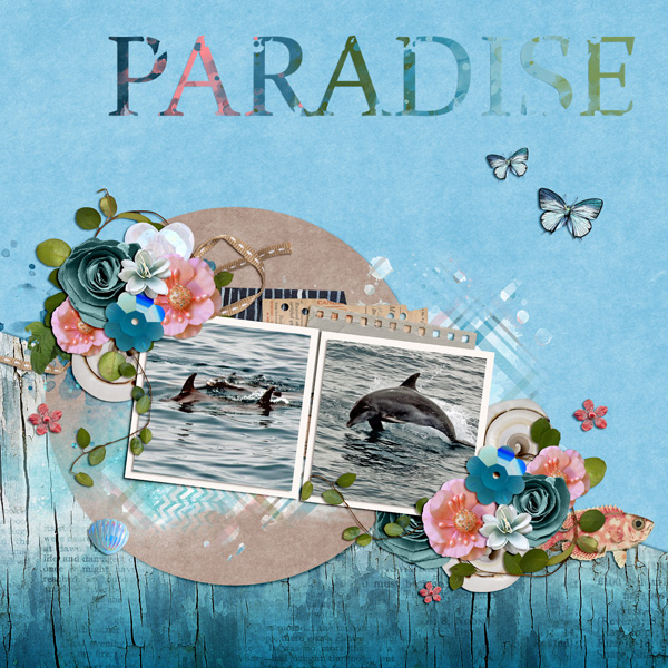 Paradise 2023