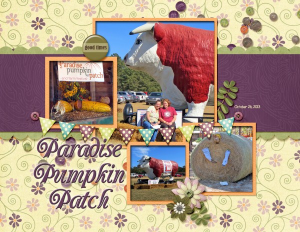 Paradise Pumpkin Patch