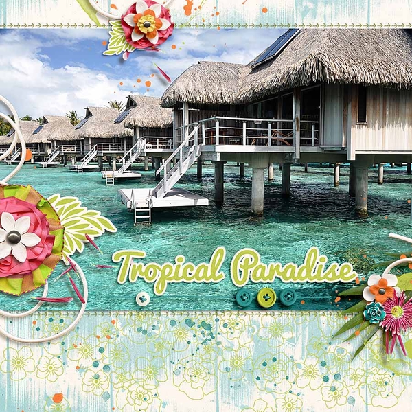 Paradise
