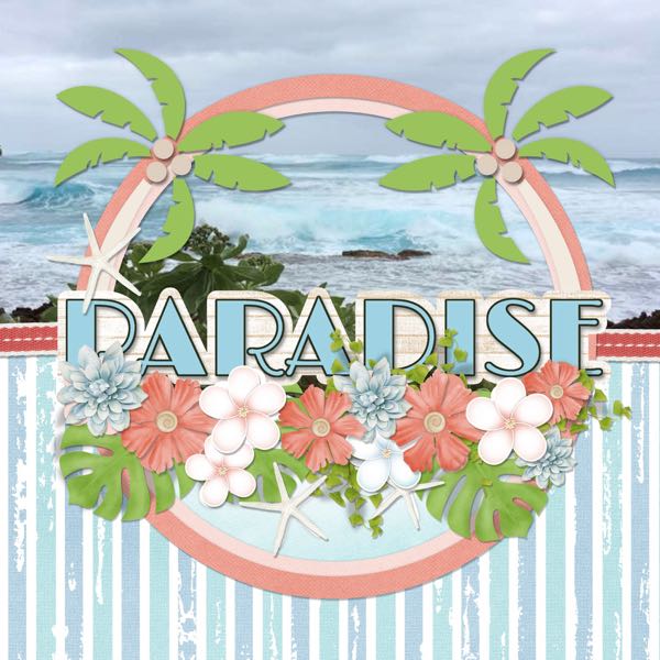 Paradise