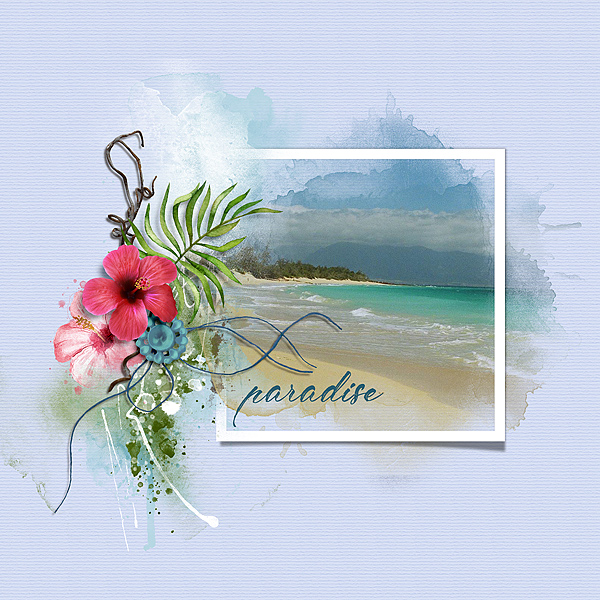 paradise