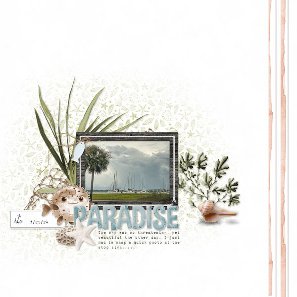 Paradise