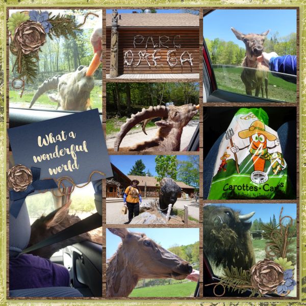 Parc Omega Carrot Feeding