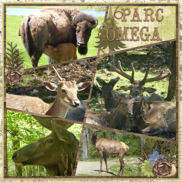 Parc Omega