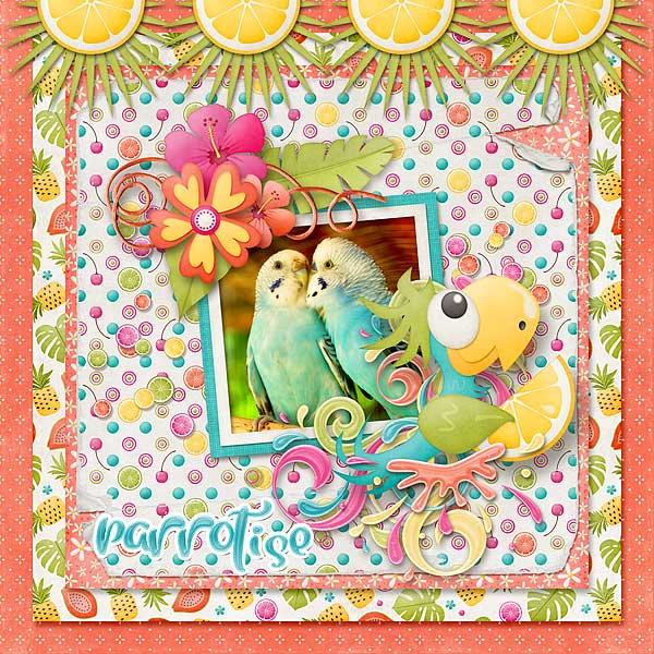 Parrot-dise