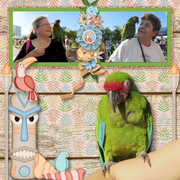 Parrot Love