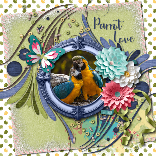 Parrot Love