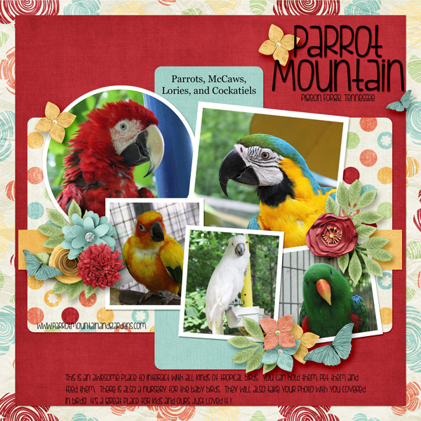 Parrot Mountain