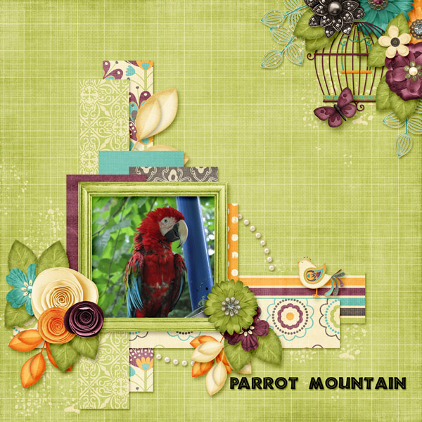 Parrot Mountain