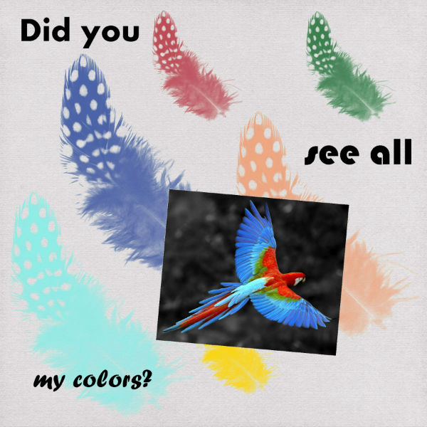 parrot