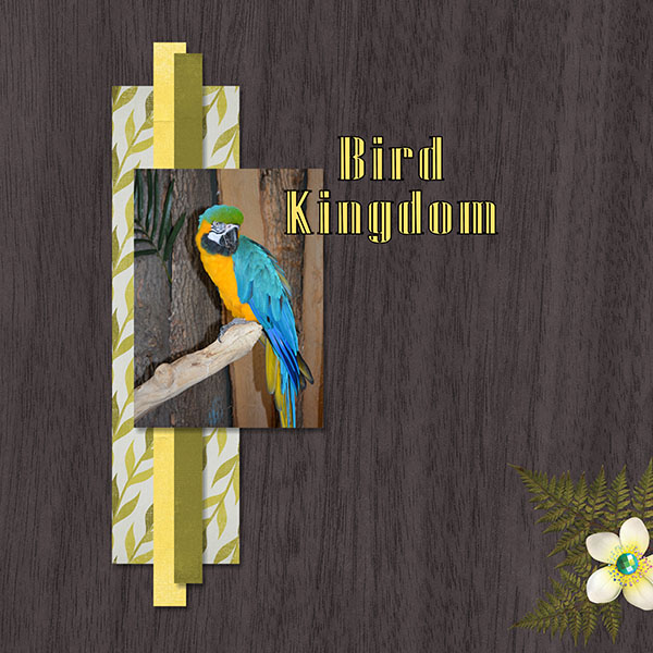 Parrot