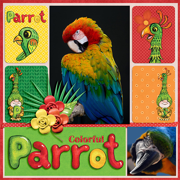 Parrot